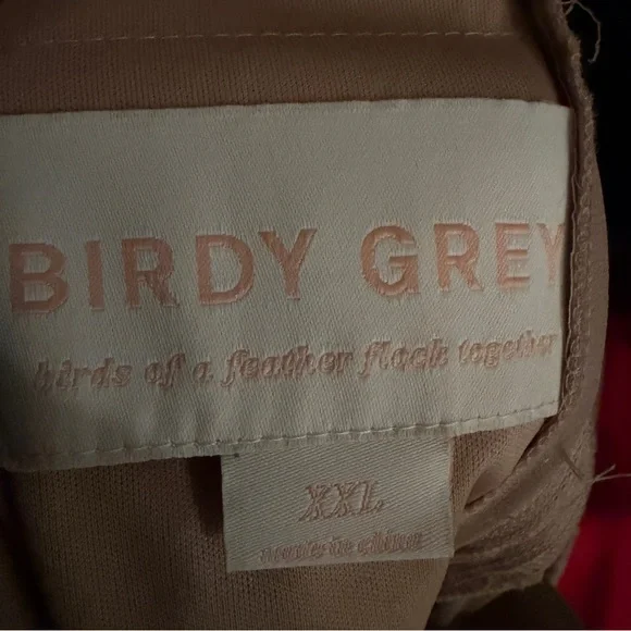 Birdy Grey Grace convertible dress size XXL in Chiffon Taupe - Picture 7 of 12